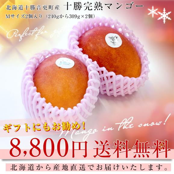 北海道から産地直送 十勝音更町産 十勝完熟マンゴー Mサイズ2個入り（240gから309g×2個） まんごー 送料無料03