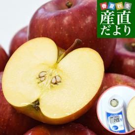 超高級ブランド！樹上完熟の激甘りんご「江刺のサンふじ」