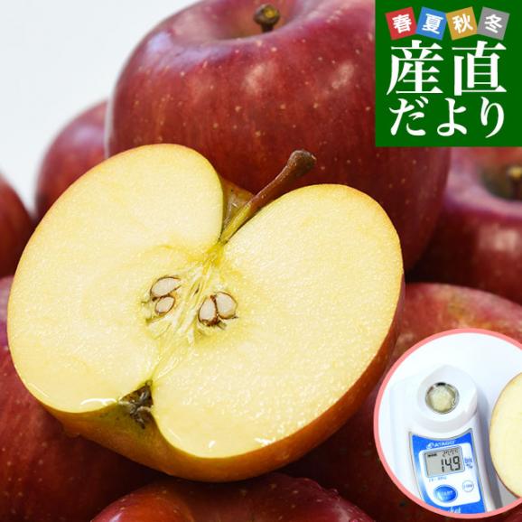 岩手県産 JA江刺 江刺のサンふじ 糖度14度以上 ご家庭向け 約3 岩手県産 JA江刺 江刺のサンふじ 糖度14度以上 ご家庭向け 約3