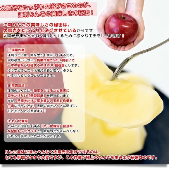 岩手県産 JA江刺 江刺のサンふじ 糖度14度以上 ご家庭向け 約3キロ (8玉から12玉) 送料無料 りんご リンゴ 林檎05