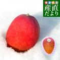 北海道から産地直送　十勝音更町産　十勝完熟マンゴー　2Lサイズ1玉（350gから449g）　まんごー 送料無料
