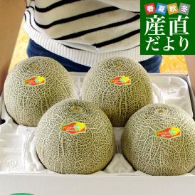 熊本県産 JA熊本市又はJA熊本うき クインシーメロン 超大玉 4Lから3Lサイズ 秀品 5キロ箱 (3玉から4玉入) 送料無料 赤肉 めろん メロン