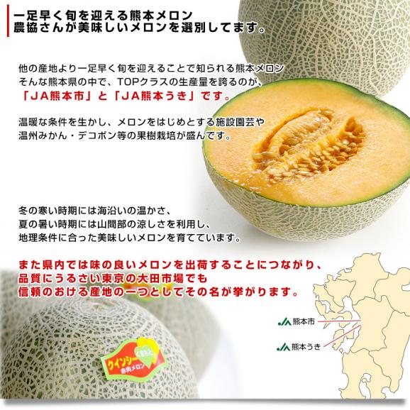 熊本県産 JA熊本市又はJA熊本うき クインシーメロン 超大玉 4Lから3Lサイズ 秀品 5キロ箱 (3玉から4玉入) 送料無料 赤肉 めろん メロン04