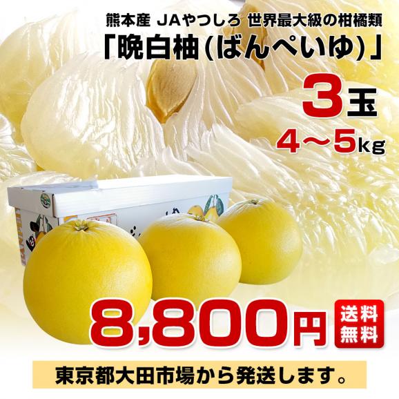 お中元 お歳暮 お年賀 夏 冬 年末年始のご挨拶 ギフト 通販な 晩白柚 熊本産JAやつしろ 大玉 送料無料 4キロから5キロ 3玉入り 果物
