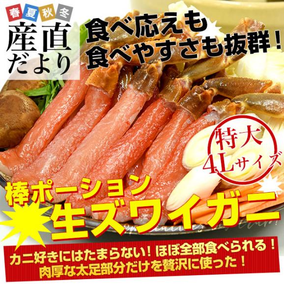 北海道より直送 生ズワイガニ 特大 4Lサイズ 棒ポーション 500g(20本入り) 送料無料 ズワイ カニ かに 蟹 ギフト02