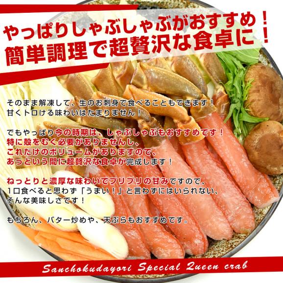 北海道より直送 生ズワイガニ 特大 4Lサイズ 棒ポーション 500g(20本入り) 送料無料 ズワイ カニ かに 蟹 ギフト06