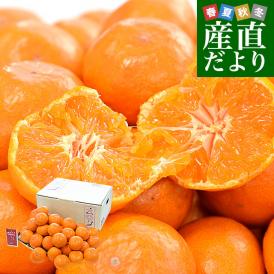 和歌山県 JA紀南 高糖度みかん「木熟201」糖度14度以上 Sサイズ 約2.8キロ (32玉前後) 送料無料 蜜柑 ミカン 柑橘 