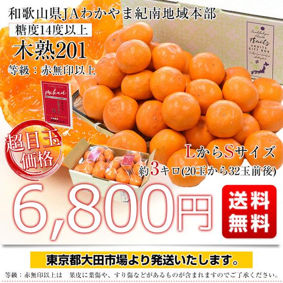 和歌山県 JAわかやま紀南地域本部 高糖度みかん「木熟201」赤無印以上 糖度14度以上 LからSサイズ 約3キロ (20玉から32玉前後) 送料無料 蜜柑 ミカン 柑橘03