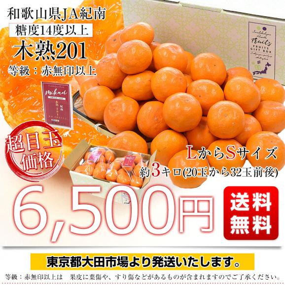 和歌山県 JA紀南 高糖度みかん「木熟201」赤無印以上 糖度14度