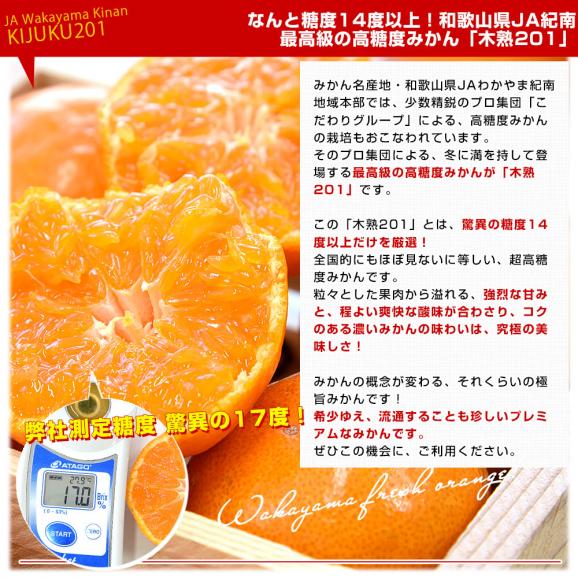 和歌山県 JAわかやま紀南地域本部 高糖度みかん「木熟201」赤無印以上 糖度14度以上 LからSサイズ 約3キロ (20玉から32玉前後) 送料無料 蜜柑 ミカン 柑橘04