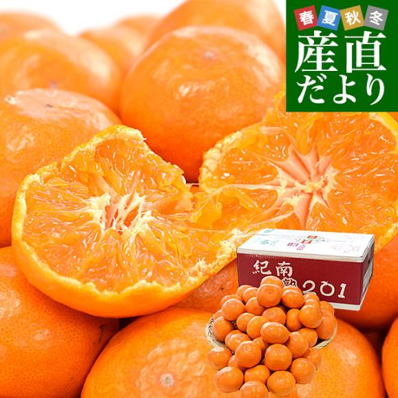 和歌山 早生みかん 有田みかん 10kg とにかく小玉 箱込重量