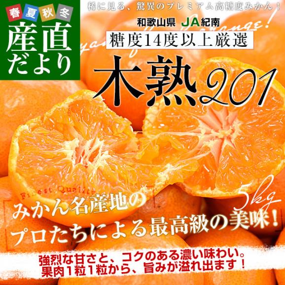 和歌山県 JA紀南 高糖度みかん「木熟201」赤無印以上 糖度14度 和歌山県 JA紀南 高糖度みかん「木熟201」赤無印以上 糖度14度