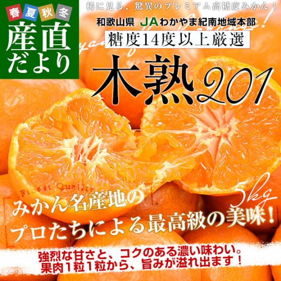 和歌山県 JAわかやま紀南地域本部 高糖度みかん「木熟201」赤無印以上 糖度14度以上 LからSサイズ 約5キロ (40玉から60玉前後) 送料無料 蜜柑 ミカン 柑橘02
