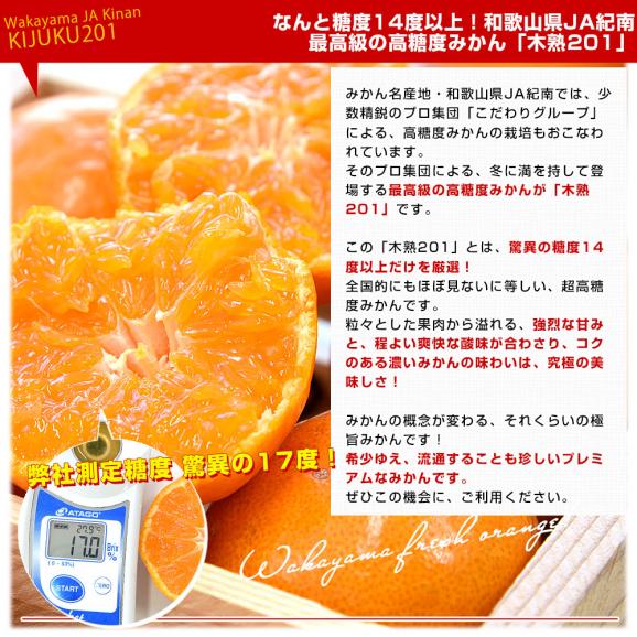 和歌山県 JA紀南 高糖度みかん「木熟201」赤無印以上 糖度14度以上 LからSサイズ 約5キロ (40玉から60玉前後) 送料無料 蜜柑 ミカン 柑橘04