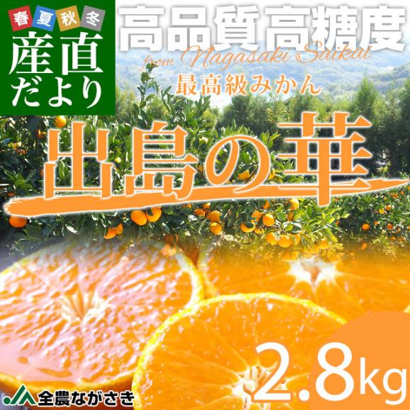 長崎県 JA全農ながさき 最高級みかん 出島の華 約2.8キロ SからLサイズ (22玉から32玉前後) 送料無料 蜜柑 みかん ミカン02