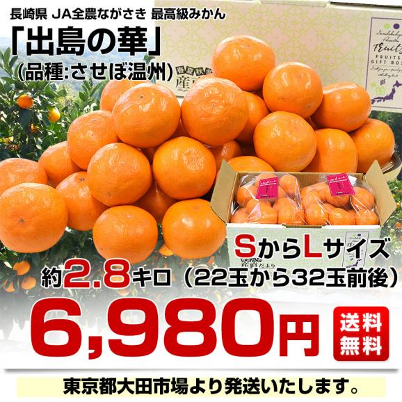 長崎県 JA全農ながさき 最高級みかん 出島の華 約2.8キロ SからLサイズ (22玉から32玉前後) 送料無料 蜜柑 みかん ミカン03