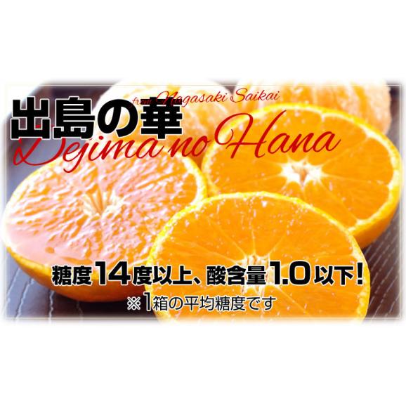 長崎県 JA全農ながさき 最高級みかん 出島の華 約2.8キロ SからLサイズ (22玉から32玉前後) 送料無料 蜜柑 みかん ミカン04