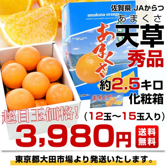 佐賀県 JAからつ 天草(あまくさ) 秀品 約2.5キロ(12玉から15玉) 化粧箱 送料無料 オレンジ 柑橘03