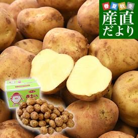長崎県産　赤土ばれいしょ　ニシユタカ　Lサイズ　10キロ　送料無料　市場発送　馬鈴薯　ばれいしょ