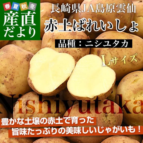 長崎県産　赤土ばれいしょ　ニシユタカ　Lサイズ　10キロ　送料無料　市場発送　馬鈴薯　ばれいしょ02