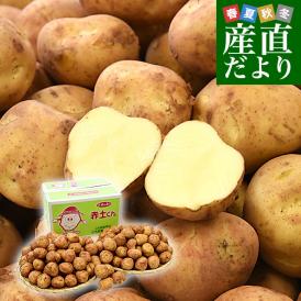 長崎県産　赤土ばれいしょ　ニシユタカ　Mサイズ　10キロ　送料無料　市場発送　馬鈴薯　ばれいしょ