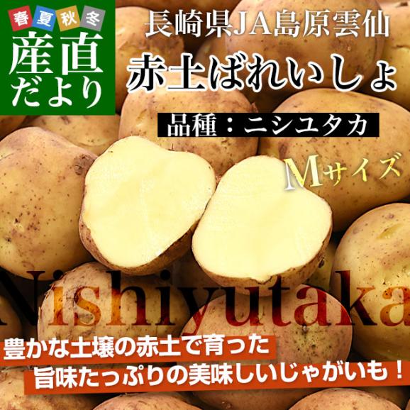 長崎県産　赤土ばれいしょ　ニシユタカ　Mサイズ　10キロ　送料無料　市場発送　馬鈴薯　ばれいしょ02