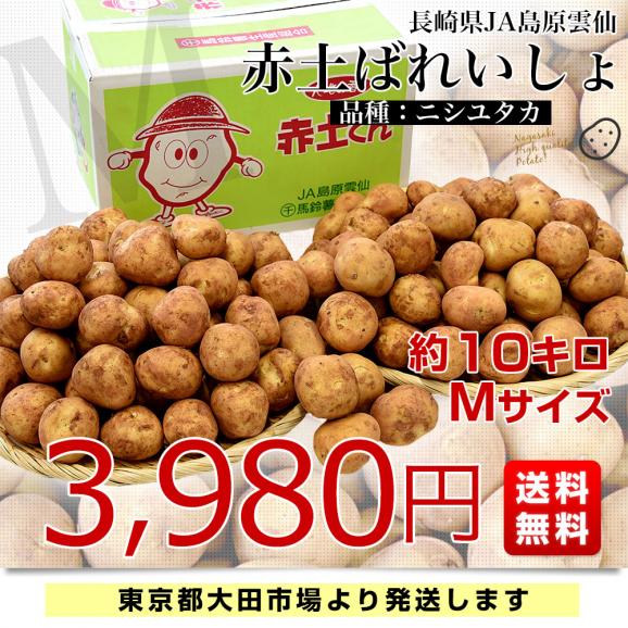 長崎県産　赤土ばれいしょ　ニシユタカ　Mサイズ　10キロ　送料無料　市場発送　馬鈴薯　ばれいしょ03