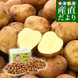 長崎県産　赤土ばれいしょ　ニシユタカ　SからSSサイズ　10キロ　送料無料　市場発送　馬鈴薯　ばれいしょ