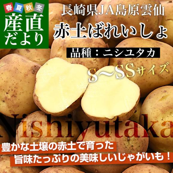 長崎県産　赤土ばれいしょ　ニシユタカ　SからSSサイズ　10キロ　送料無料　市場発送　馬鈴薯　ばれいしょ02