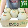 熊本県産 JA熊本うき又はJA熊本市 クインシーメロン 2LからLサイズ 秀品 5キロ箱 (5玉から6玉) 送料無料 メロン 赤肉