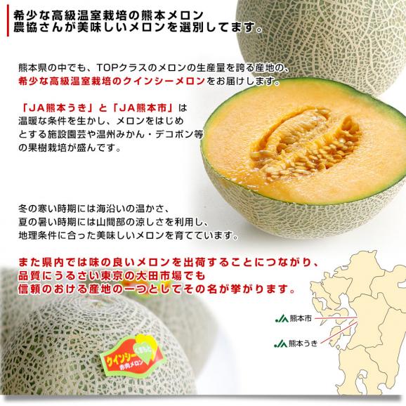 熊本県産 JA熊本うき又はJA熊本市 クインシーメロン 2LからLサイズ 秀品 5キロ箱 (5玉から6玉) 送料無料 メロン 赤肉04