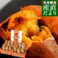 種子島産　夢百笑蜜芋　750g×2箱（18本前後）　送料無料　市場発送　あんのういも　みついも　鹿児島県  安納芋
