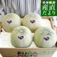 熊本県産 JA熊本市又はJA熊本うき アンデスメロン 4Lから3Lサイズ 秀品 5キロ箱 （3玉から4玉） 送料無料 メロン 青肉