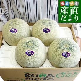 熊本県産 JA熊本市又はJA熊本うき アンデスメロン 4Lから3Lサイズ 秀品 5キロ箱 （3玉から4玉） 送料無料 メロン 青肉