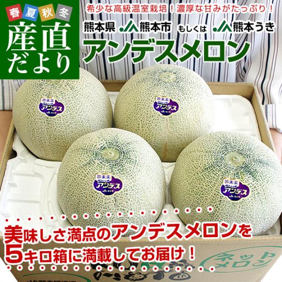 大特価 意味 熊本県産 JA熊本市又はJA熊本うき アンデスメロン 4Lから3L 果物