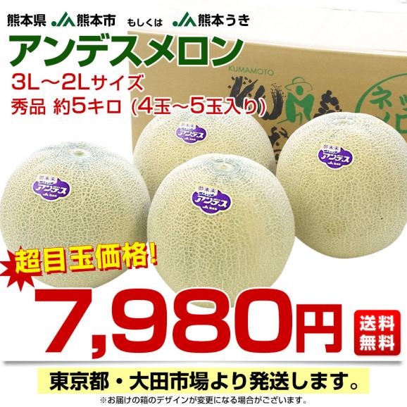 熊本県産 JA熊本市又はJA熊本うき アンデスメロン 3Lから2Lサイズ 秀品 5キロ箱 (4玉から5玉入り) 送料無料 メロン 青肉03