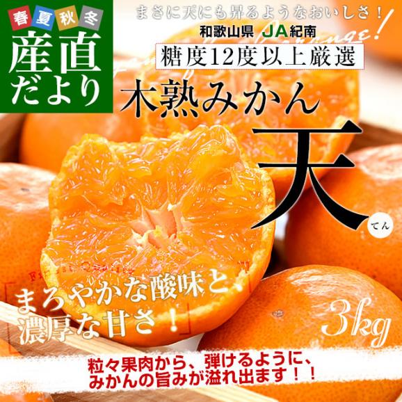 和歌山県 JA紀南 糖度12度以上 木熟みかん「天」等級：赤無印
