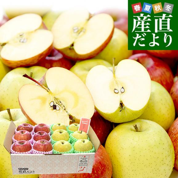青森県産 JAつがる弘前 りんご詰め合わせ サンふじ＆王林 約3