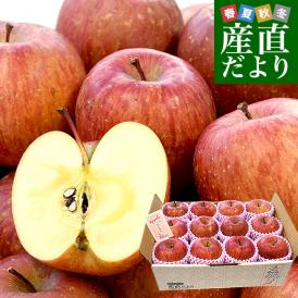 青森県産 JAつがる弘前 サンふじ 約3キロ (12玉) 送料無料 りんご リンゴ 林檎 市場発送