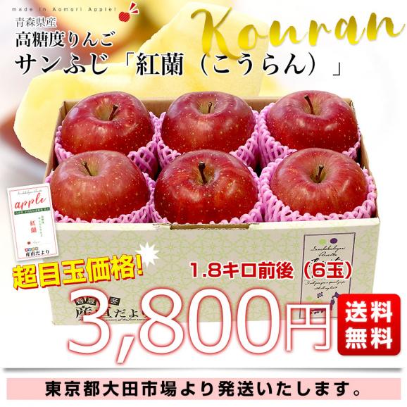 贅沢 青森県産 高糖度りんご サンふじ 「紅蘭（こうらん）」 1.8キロ 果物
