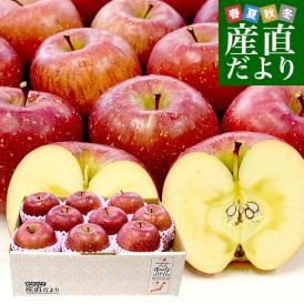 青森県産 高糖度りんご サンふじ 「紅蘭（こうらん）」 約3キロ (9玉から12玉) 送料無料 りんご リンゴ 林檎 市場発送