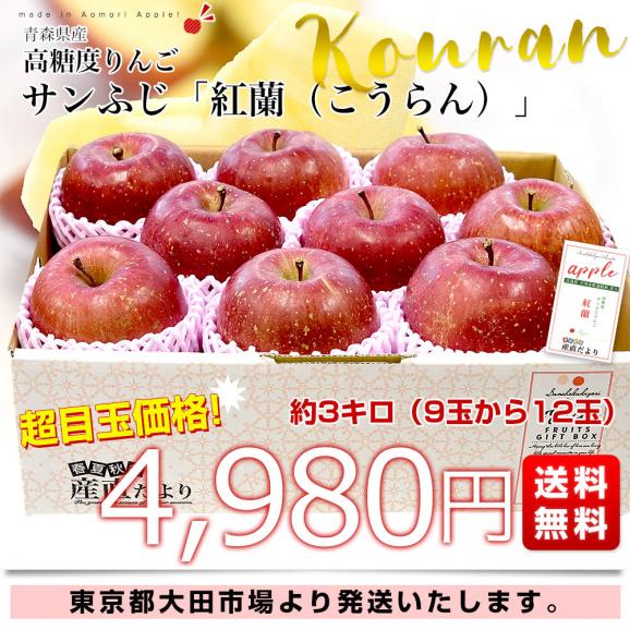 青森県産 高糖度りんご サンふじ 「紅蘭（こうらん）」 約3キロ (9玉から12玉) 送料無料 りんご リンゴ 林檎 市場発送03