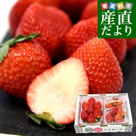 栃木県より産地直送 JAおやま 大粒 とちあいか 1箱 約540ｇ (270ｇ×2パック) 合計10粒から14粒 送料無料 いちご イチゴ 苺 クール便