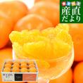熊本県産 JA熊本果実連 新品種柑橘 ゆうばれ 秀品 約3キロ （8玉から15玉）送料無料 柑橘 みかん オレンジ