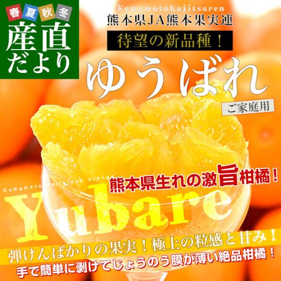 熊本県産 JA熊本果実連 新品種柑橘 ゆうばれ ご家庭用 約2.5キロ