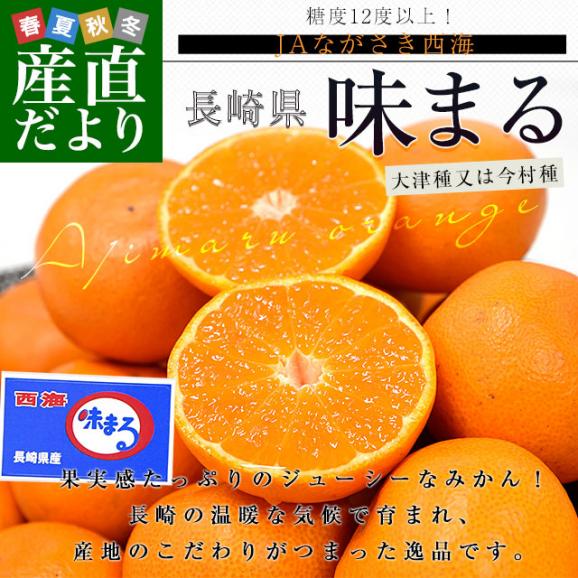 長崎県 JAながさき西海 味まる 約2.8キロ(1.4キロ×2) LからMサイズ 送料無料 ミカン 蜜柑 みかん 長崎みかん 市場発送02