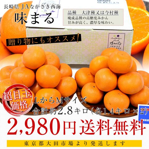 長崎県 JAながさき西海 味まる 約2.8キロ(1.4キロ×2) LからMサイズ 送料無料 ミカン 蜜柑 みかん 長崎みかん 市場発送03