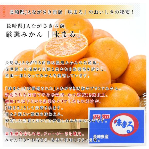 長崎県 JAながさき西海 味まる 約2.8キロ(1.4キロ×2) LからMサイズ 送料無料 ミカン 蜜柑 みかん 長崎みかん 市場発送04