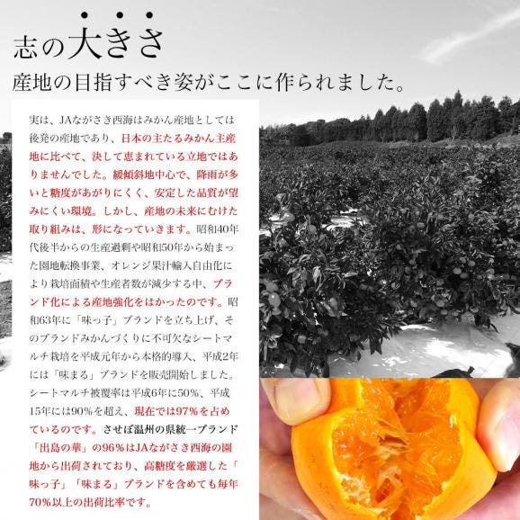 長崎県 JAながさき西海 味まる 約2.8キロ(1.4キロ×2) LからMサイズ 送料無料 ミカン 蜜柑 みかん 長崎みかん 市場発送05
