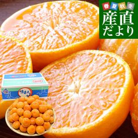 長崎県 JAながさき西海 味まる 2LからSサイズ 優品以上 約5キロ(30玉から60玉前後）送料無料 早生みかん ミカン 蜜柑　お歳暮 ギフト